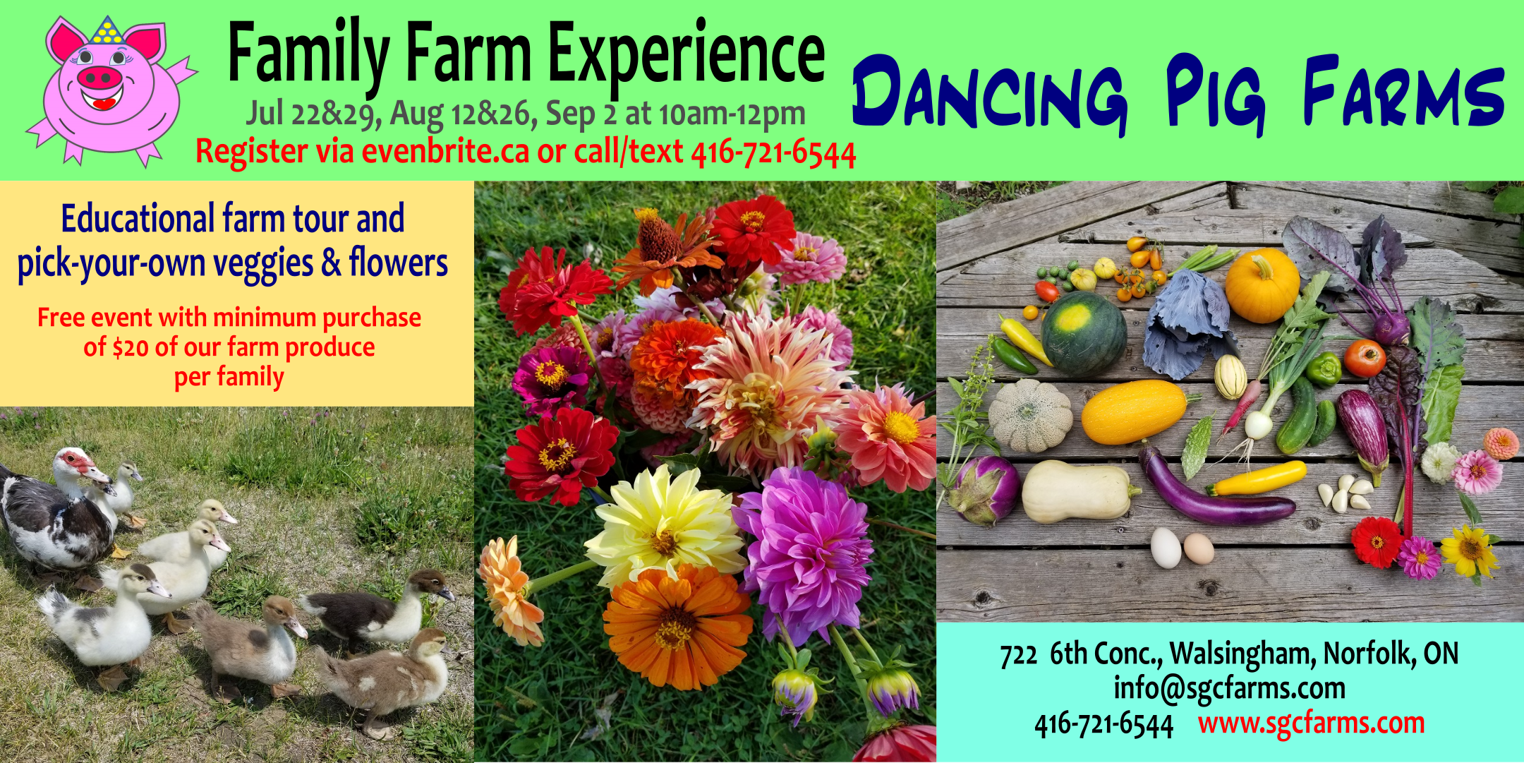 Farm Family Experience